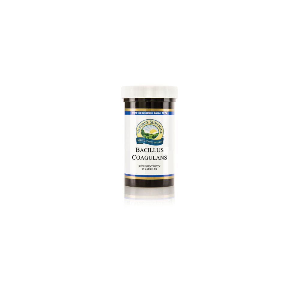 BACILLUS COAGULANS 90 kapsułek